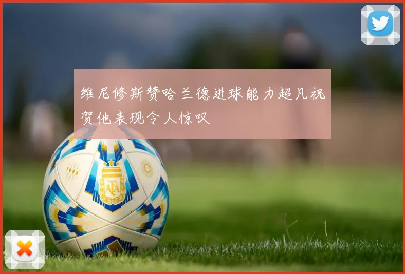 维尼修斯赞哈兰德进球能力超凡祝贺他表现令人惊叹
