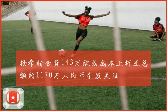 杨希转会费143万欧或成本土标王总额约1170万人民币引发关注