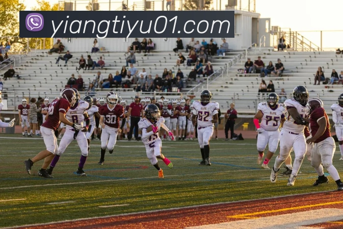 App Interface Preview